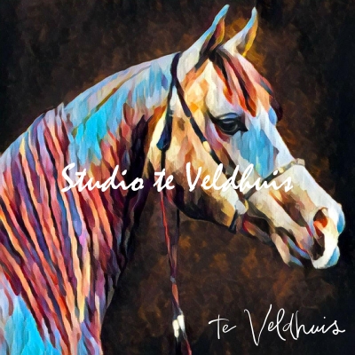 Arabic Brown | Studio te Veldhuis