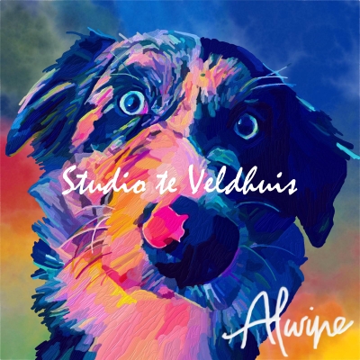 Scott | Studio te Veldhuis