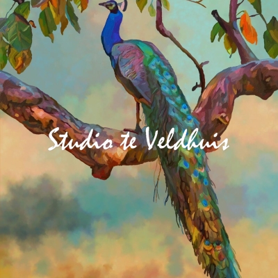 Pauw | Studio te Veldhuis