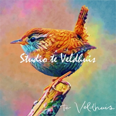 Winterkoninkje | Studio te Veldhuis