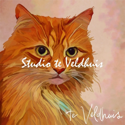 Theodore | Studio te Veldhuis