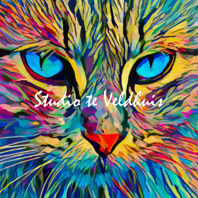 Blue Eyes | Studio te Veldhuis