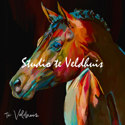Knapperd | Studio te Veldhuis